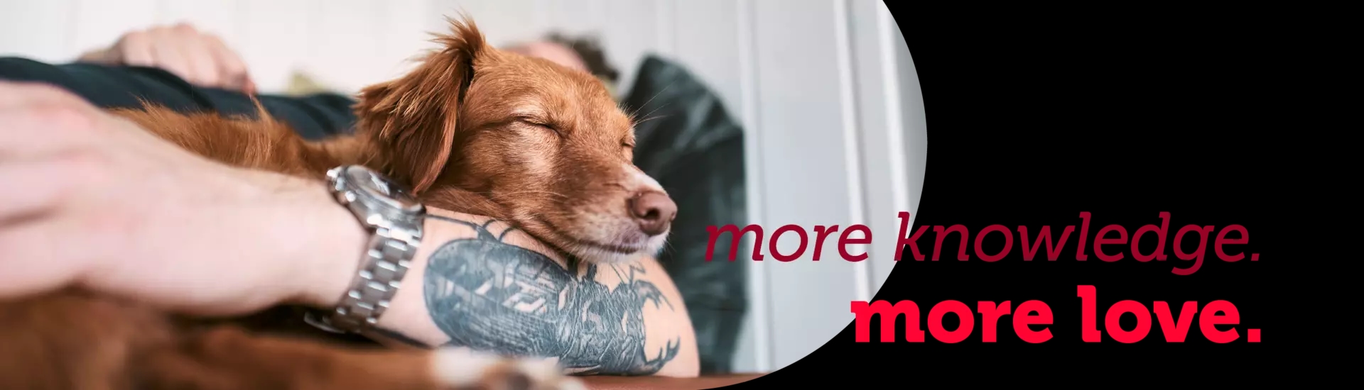 mera zmienia się - header banner